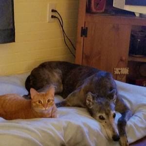 Meet your Posher, Renessa